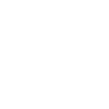 AnnaTwelve Logo